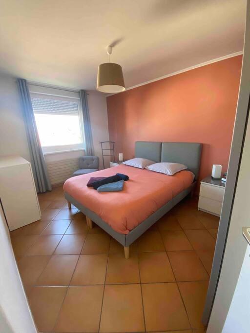 Logement Ideal Pour Un Sejour Alsacien En Amoureux Кольмар Экстерьер фото
